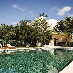https://villas-h2o.allrivieramayahotels.com